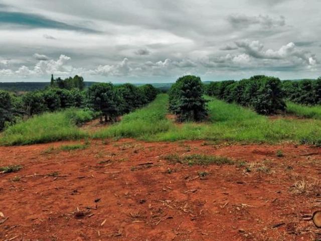 Sítio e chácara venda em Região Geográfica Imediata de Formiga, Pimenta