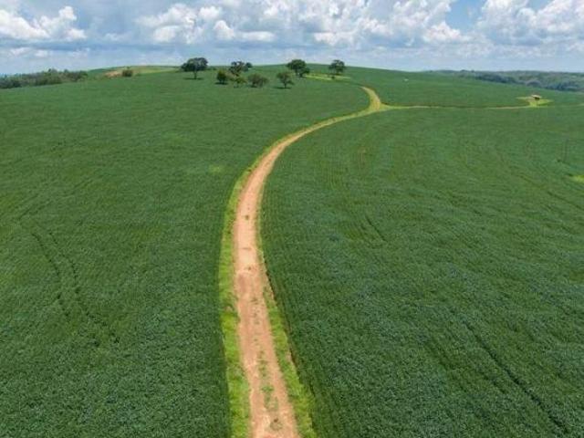 Sítio e chácara venda em Região Geográfica Imediata de Formiga, Pimenta