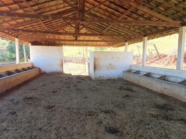 Sítio e chácara venda em Região Geográfica Imediata de Oliveira, Piracema