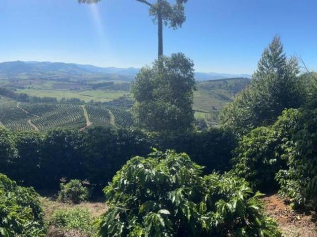 Sítio e chácara venda em Região Geográfica Imediata de Pouso Alegre, Santa Rita do Sapucaí