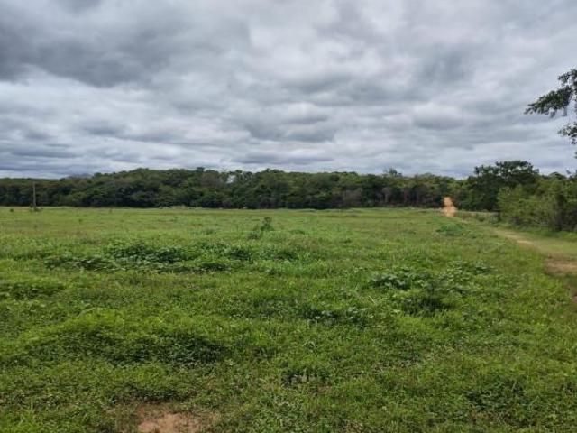 Sítio e chácara venda em Região Geográfica Imediata de Curvelo, Santo Hipólito