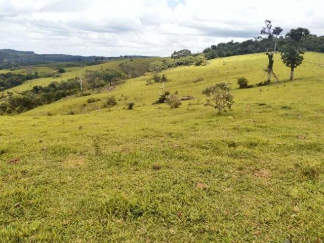 Sítio e chácara venda em Região Geográfica Imediata de Caxambu - Baependi, Serranos