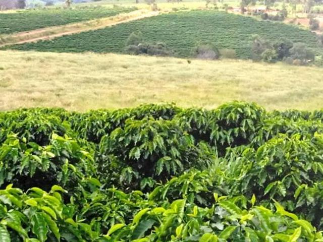 Sítio e chácara venda em Região Geográfica Imediata de Patos de Minas, Tiros