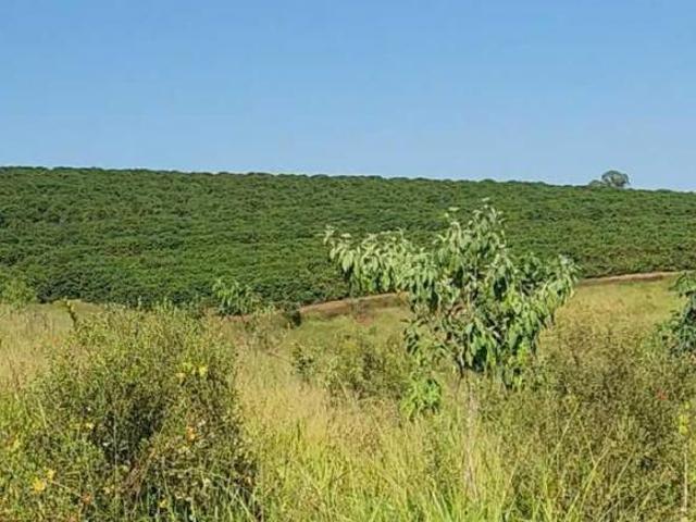 Sítio e chácara venda em Região Geográfica Imediata de Campo Belo, Aguanil