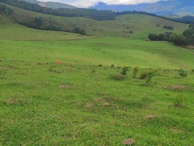 Sítio e chácara venda em Região Geográfica Imediata de Caxambu - Baependi, Aiuruoca