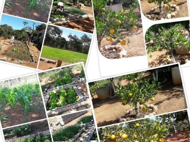 Sítio e chácara venda em Região Geográfica Imediata de Belo Horizonte, Região Metropolitana de Belo Horizonte