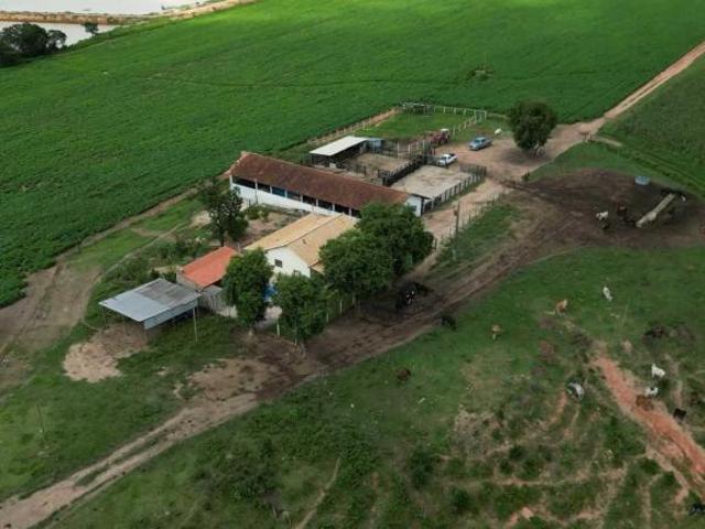Sítio e chácara venda em Região Geográfica Imediata de Dores do Indaiá, Bom despacho