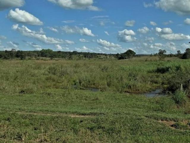 Sítio e chácara venda em Região Geográfica Imediata de Dores do Indaiá, Bom despacho