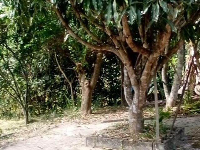 Sítio e chácara venda em Região Geográfica Imediata de Belo Horizonte, Região Metropolitana de Belo Horizonte