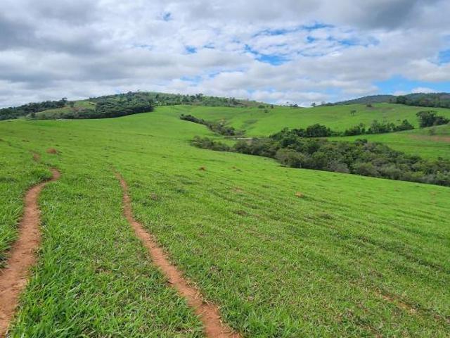 Sítio e chácara venda em Região Geográfica Imediata de Três Corações, Campanha