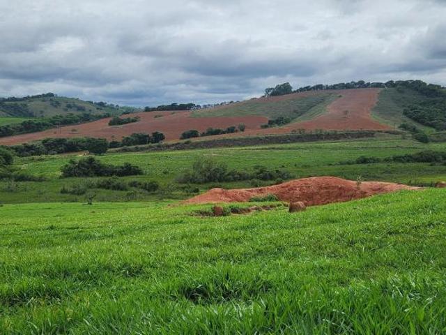 Sítio e chácara venda em Região Geográfica Imediata de Três Corações, Campanha