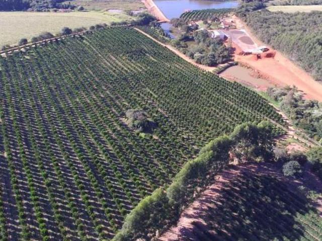 Sítio e chácara venda em Região Geográfica Imediata de Três Corações, Campanha