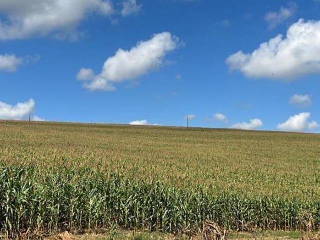 Sítio e chácara venda em Região Geográfica Imediata de Pouso Alegre, Careaçu