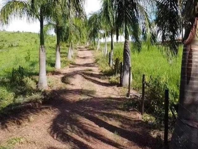 Sítio e chácara venda em Região Geográfica Imediata de Passos, Carmo do Rio Claro
