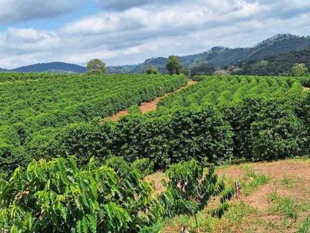 Sítio e chácara venda em Região Geográfica Imediata de Divinópolis, Cláudio