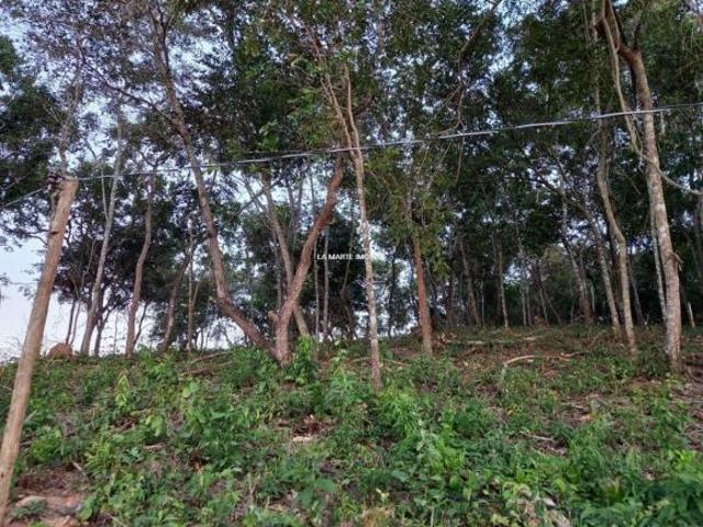 Sítio e chácara venda em Região Geográfica Imediata de Divinópolis, Conceição do Pará