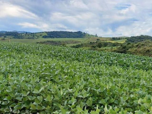 Sítio e chácara venda em Região Geográfica Imediata de São Lourenço, Conceição do Rio Verde