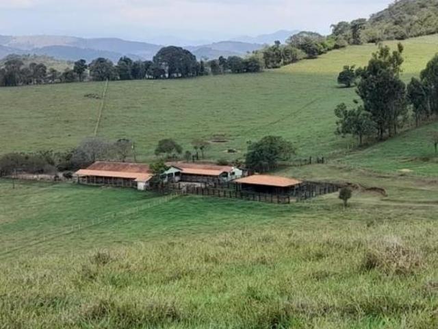Sítio e chácara venda em Região Geográfica Imediata de São Lourenço, Conceição do Rio Verde