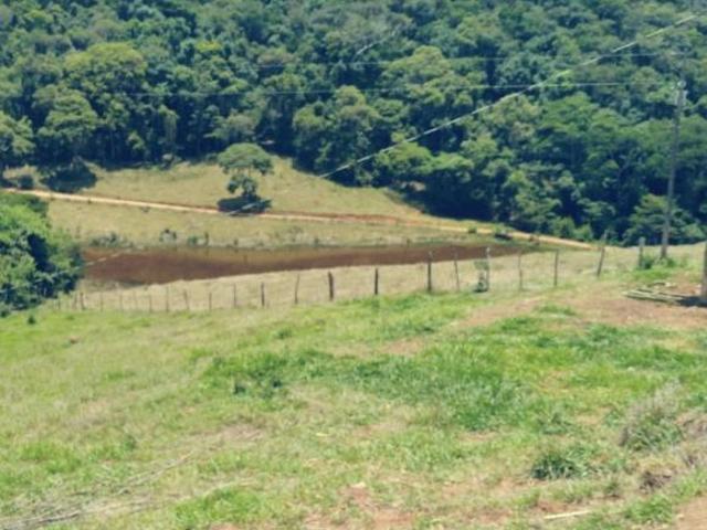 Sítio e chácara venda em Região Geográfica Imediata de São Lourenço, Conceição do Rio Verde