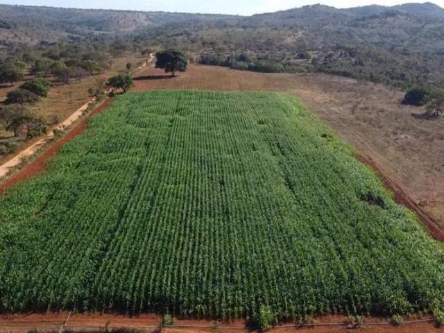 Sítio e chácara venda em Região Geográfica Imediata de Sete Lagoas, Cordisburgo