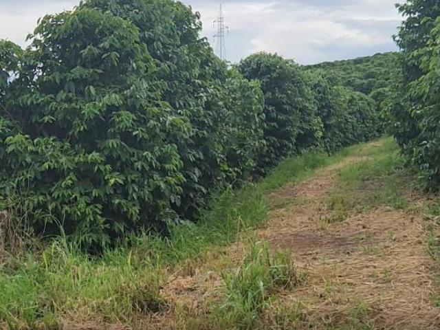 Sítio e chácara venda em Região Geográfica Imediata de Varginha, Elói Mendes