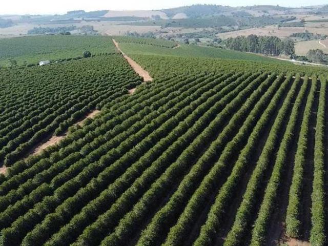 Sítio e chácara venda em Região Geográfica Imediata de Varginha, Elói Mendes