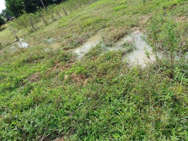 Sítio e chácara venda em Região Geográfica Imediata de Divinópolis, Pitangui