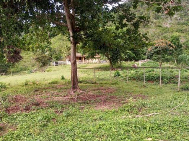 Sítio e chácara venda em Região Geográfica Imediata de Itabira, Ferros