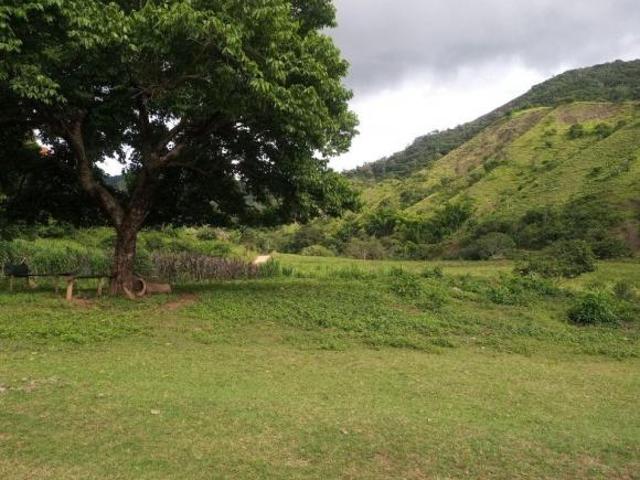 Sítio e chácara venda em Região Geográfica Imediata de Itabira, Ferros