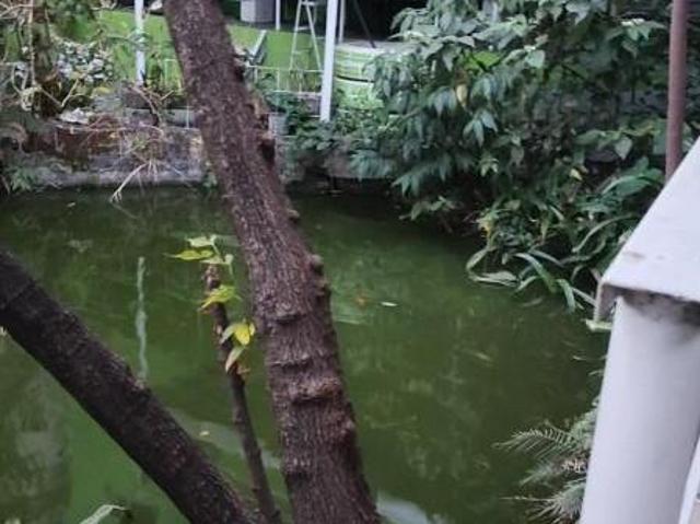 Sítio e chácara venda em Região Geográfica Imediata de Belo Horizonte, Região Metropolitana de Belo Horizonte