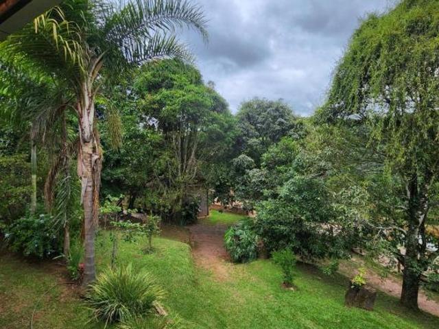 Sítio e chácara venda em Região Geográfica Imediata de Santa Bárbara - Ouro Preto, Itabirito