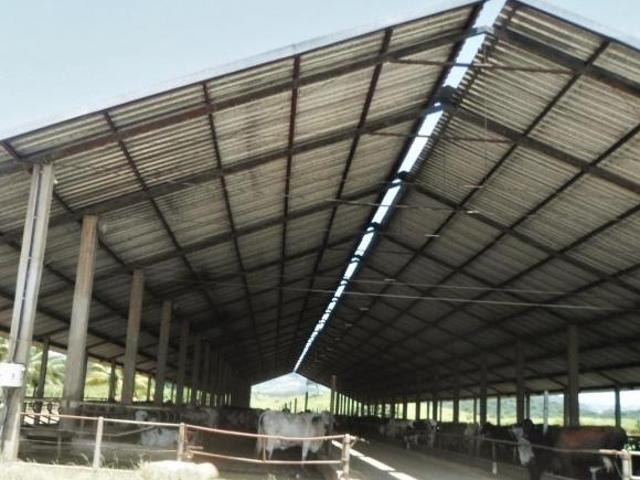 Sítio e chácara venda em Região Geográfica Imediata de Juiz de Fora, Juiz de Fora