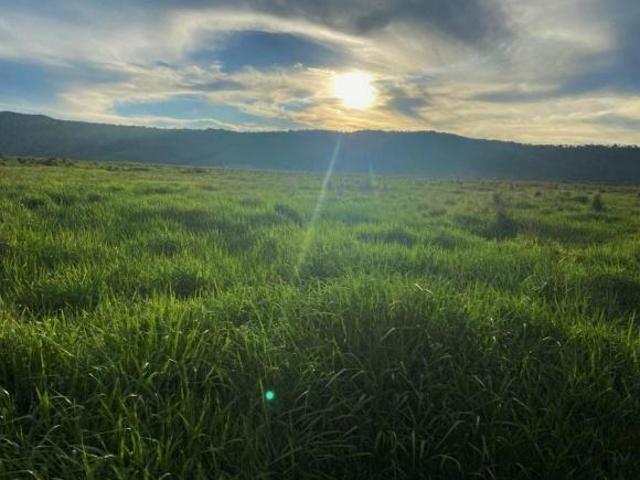 Sítio e chácara venda em Região Geográfica Imediata de Pirapora, Lassance