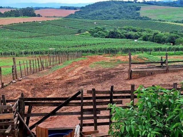 Sítio e chácara venda em Região Geográfica Imediata de Alfenas, Machado