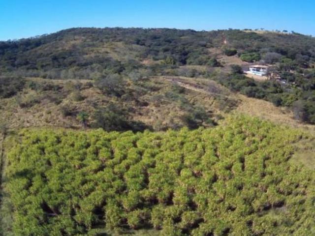 Sítio e chácara venda em Região Geográfica Imediata de Sete Lagoas, Região Metropolitana de Belo Horizonte