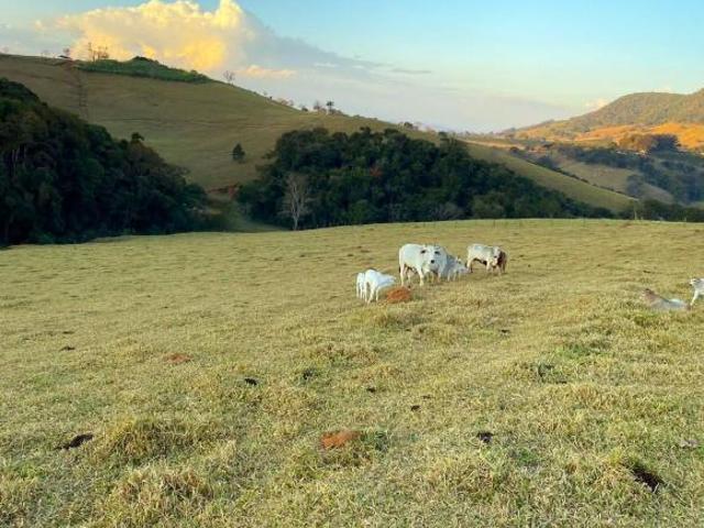 Sítio e chácara venda em Região Geográfica Imediata de Pouso Alegre, Monte Sião