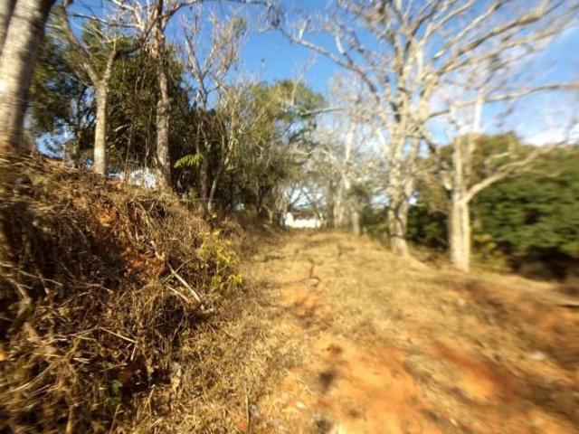 Sítio e chácara venda em Nepomuceno, Região Geográfica Intermediária de Varginha