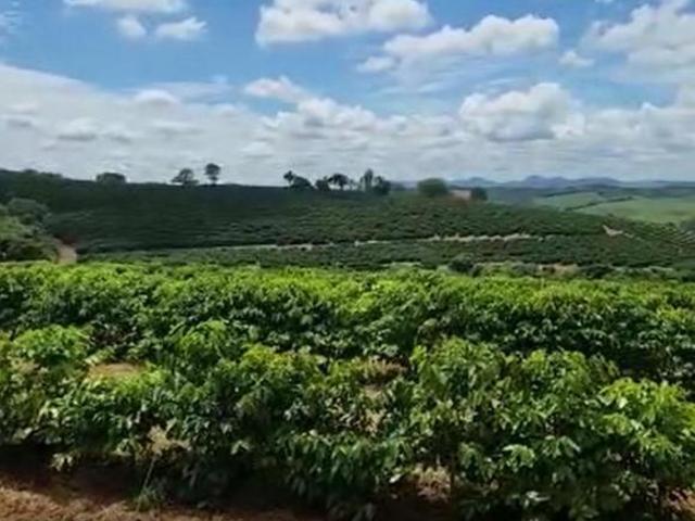 Sítio e chácara venda em Região Geográfica Imediata de Lavras, Nepomuceno