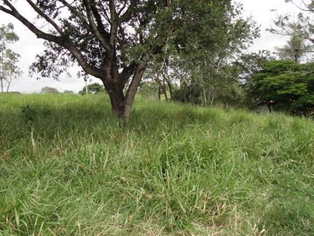 Sítio e chácara venda em Região Geográfica Imediata de Sete Lagoas, Paraopeba