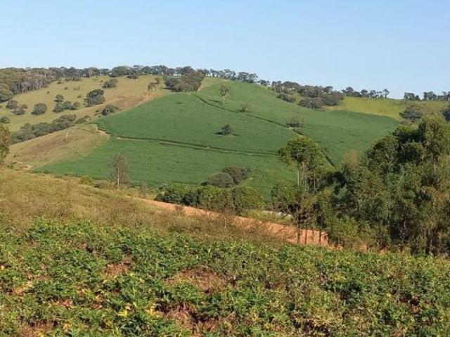 Sítio e chácara venda em Região Geográfica Imediata de Pouso Alegre, Silvianópolis