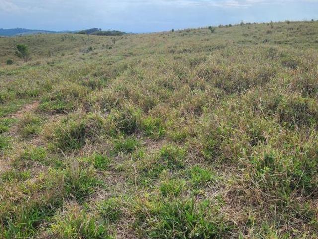 Sítio e chácara venda em Região Geográfica Imediata de Três Corações, Três Corações