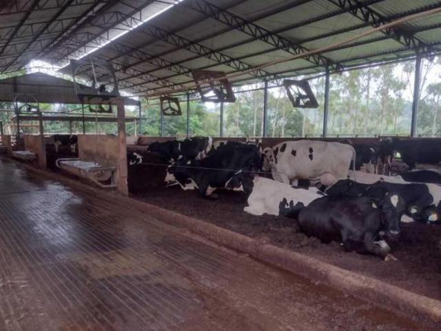 Sítio e chácara venda em Região Geográfica Imediata de Pouso Alegre, Turvolândia