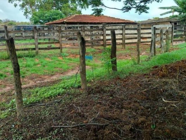 Sítio e chácara venda em Região Geográfica Imediata de Pirapora, Várzea da Palma