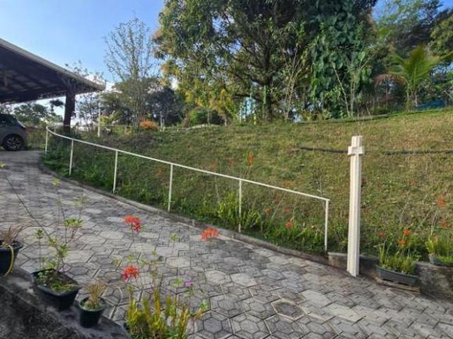 Sítio e chácara venda em Regional Vianópolis, Betim
