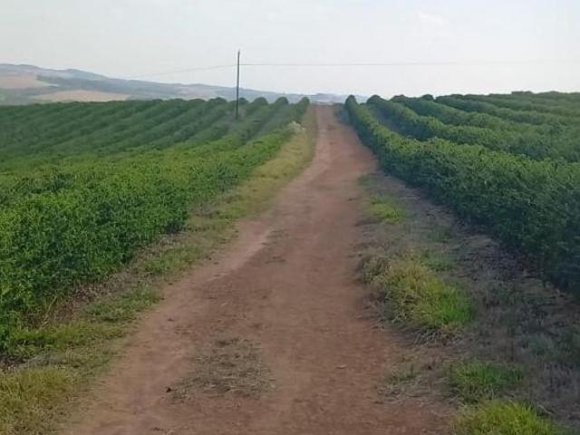 Sítio e chácara venda em Região Geográfica Imediata de Lavras, Bom Sucesso