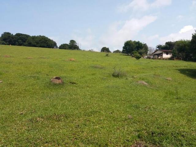 Sítio e chácara venda em Região Geográfica Imediata de Pouso Alegre, Borda da Mata