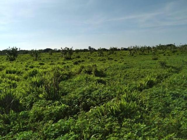Sítio e chácara venda em Região Geográfica Imediata de Pirapora, Buritizeiro