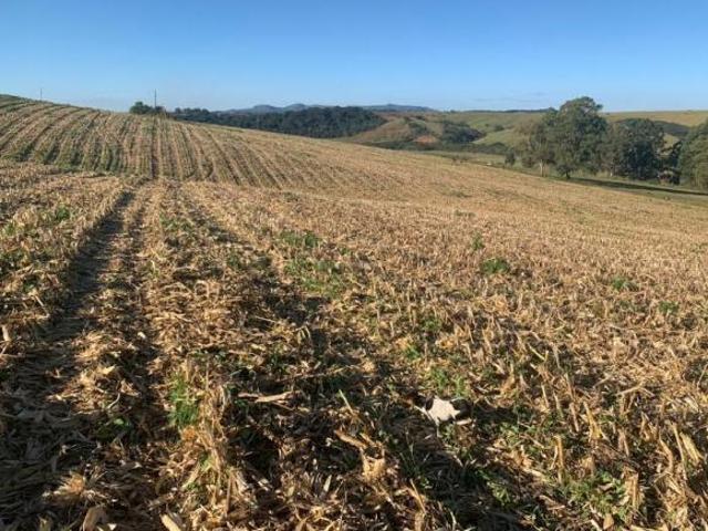 Sítio e chácara venda em Região Geográfica Imediata de Caxambu - Baependi, Cruzília