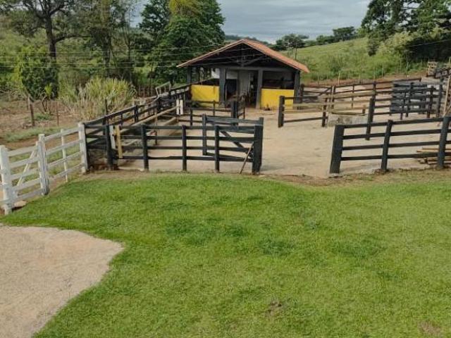Sítio e chácara venda em Vila São Vicente, Entre Rios de Minas