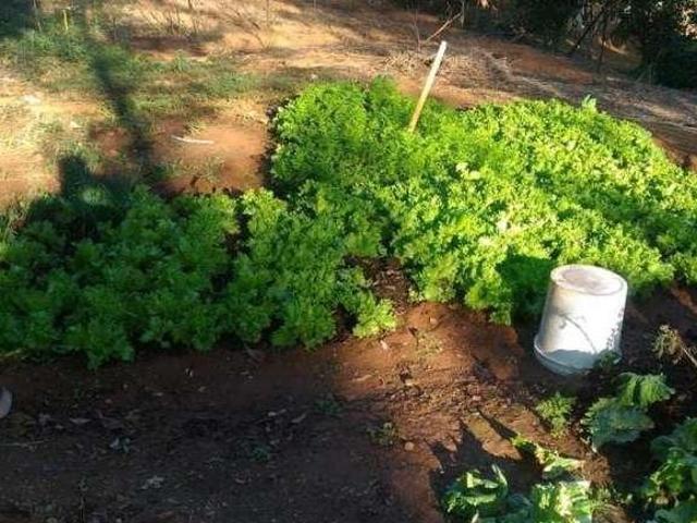 Sítio e chácara venda em Região Geográfica Imediata de Belo Horizonte, Região Metropolitana de Belo Horizonte